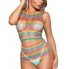 Be Wicked Bare It All Rainbow Bodystocking 2 Be Wicked Bare It All Rainbow Bodystocking -Be Wicked 2050 RB front2 web 94461.1611871298.1280.1280
