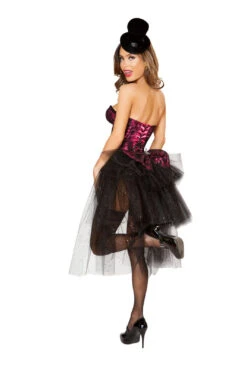 Burlesque Girl Costume 5 Burlesque Girl Costume -Be Wicked 4826 Back