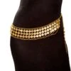 Belly Dancer Coin Wrap