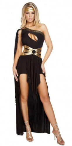 Gorgeous Goddess Costume