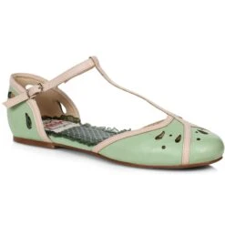 Two Toned T-Strap Flat Shoe