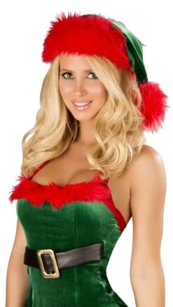 Green And Red Fur Trimmed Santa's Hat